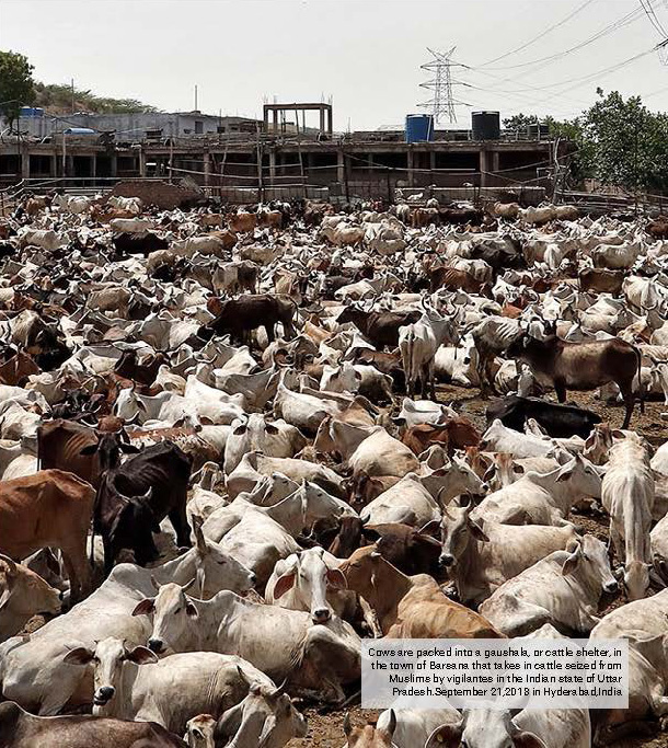 COWS