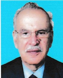 Zafar Malik Portrait_page-0001